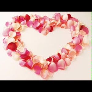 Meet your Posher, Simone