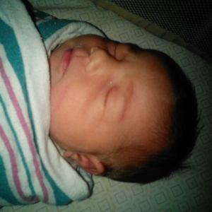 Meet your Posher, Holly