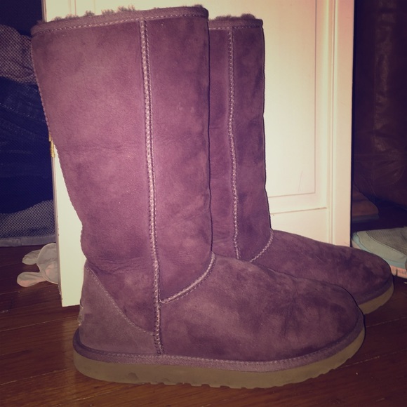 UGG | Shoes | Very Gently Worn Tall Uggs | Poshmark