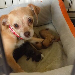 Meet your Posher, Michele