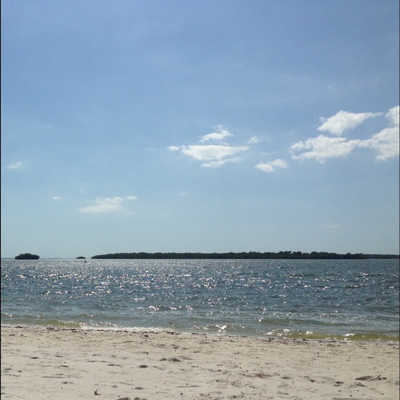 Meet Your Posher - Picture 4 of 4