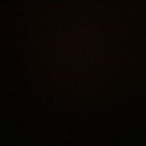 Meet your Posher, Alina