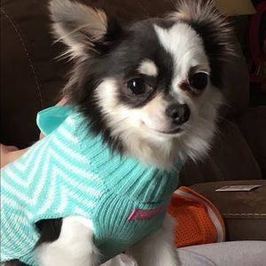 Meet your Posher, Tara