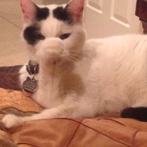 Meet your Posher, Alex