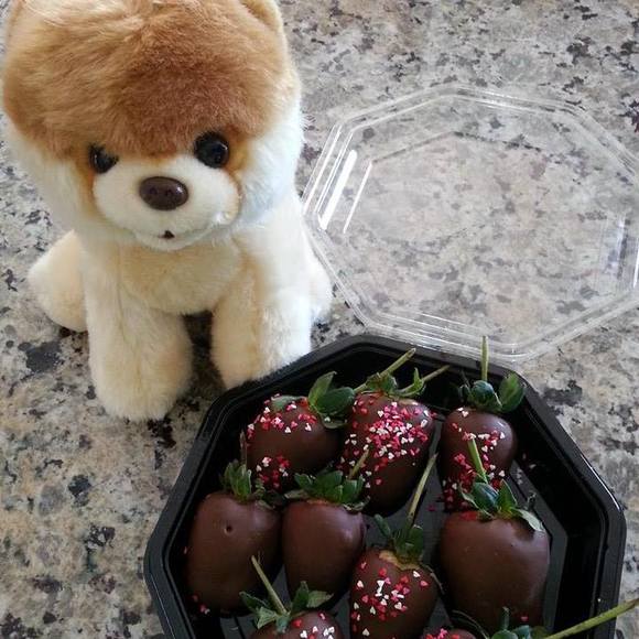 Meet your Posher, Amy - Picture 1 of 1