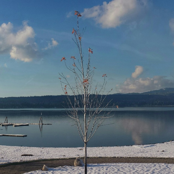 Meet your Posher, Molli