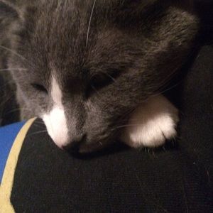 Meet your Posher, Betsy