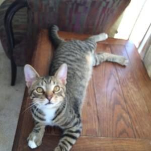 Meet your Posher, Kylie