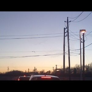 Meet your Posher, Brandy