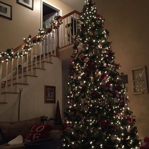 Meet your Posher, Nancy