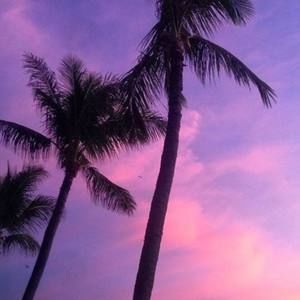 Meet your Posher, Ileen