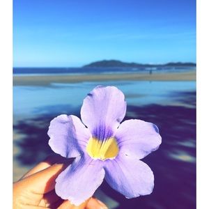 Meet your Posher, Andreia