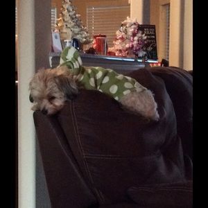 Meet your Posher, Andrea