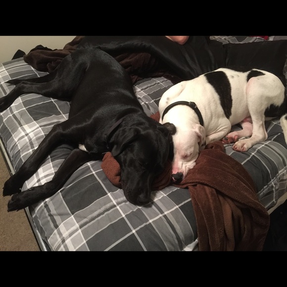 Meet your Posher, Shawn - Picture 1 of 1