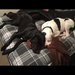 Meet your Posher, Shawn