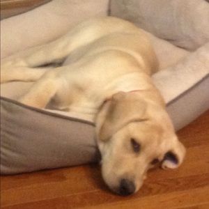 Meet your Posher, Sandra