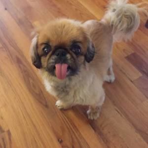 Meet your Posher, Rae