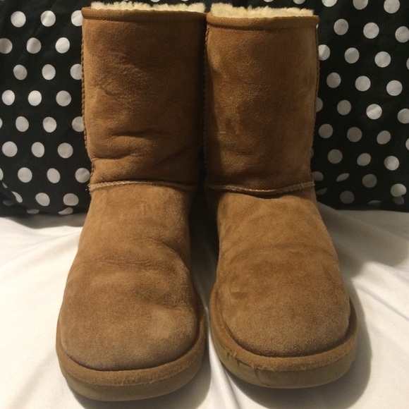 Classic Chestnut Uggs