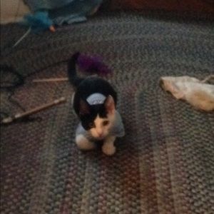 Meet your Posher, Pamela