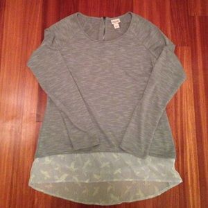 Gray Shirt with Sheer Bird Bottom