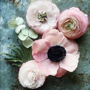 Meet your Posher, Heidi