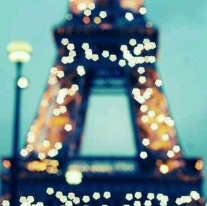 Meet your Posher, Jessie