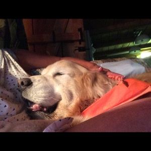 Meet your Posher, Lori