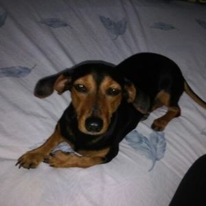 Meet your Posher, Isabel