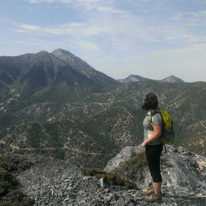 Meet your Posher, Abigail