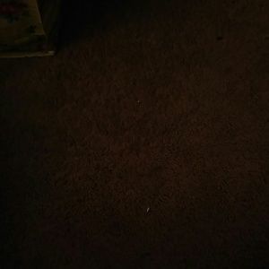 Meet your Posher, Sean