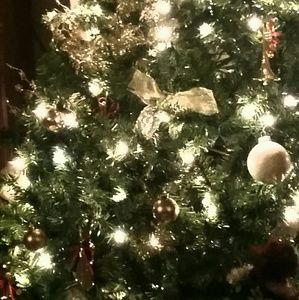 Meet your Posher, Carrie