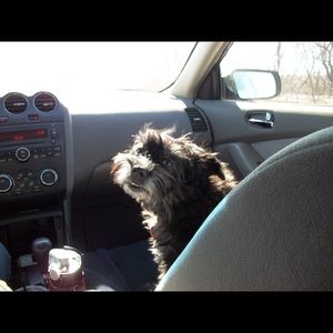 Meet your Posher, Katie