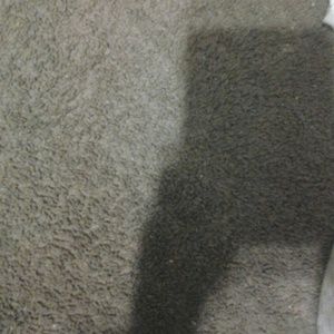 Meet your Posher, Alyce