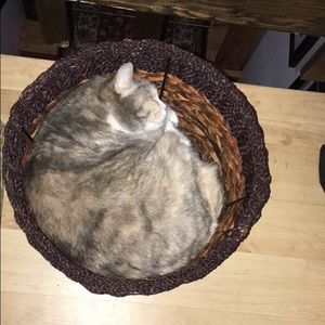 Meet your Posher, Cierra