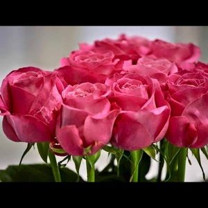 Meet your Posher, Sigalit