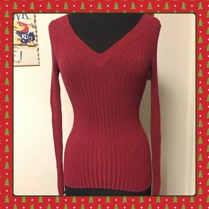 Express Metallic Red Sweater