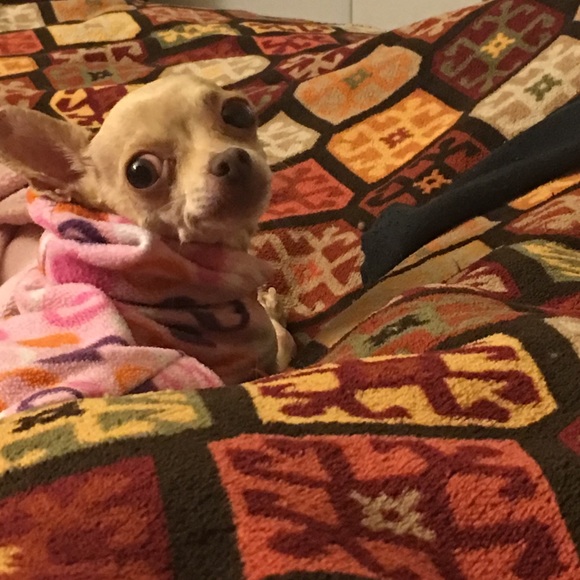 Meet your Posher, Zaira - Picture 1 of 1