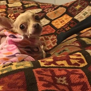 Meet your Posher, Zaira