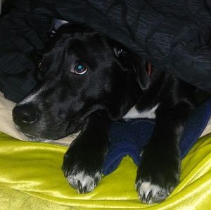 Meet your Posher, Lyndsey