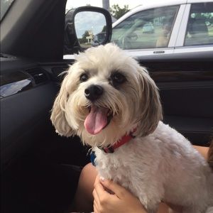 Meet your Posher, Catherine