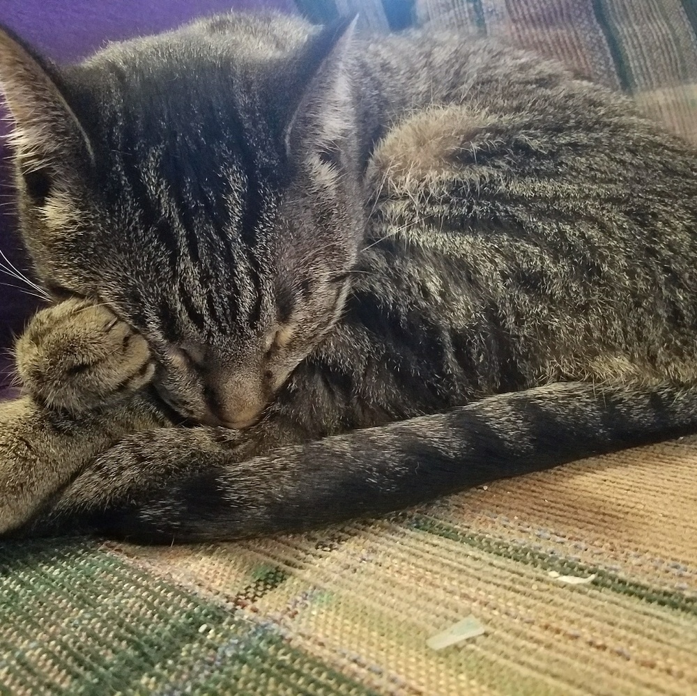 Meet your Posher, Maren