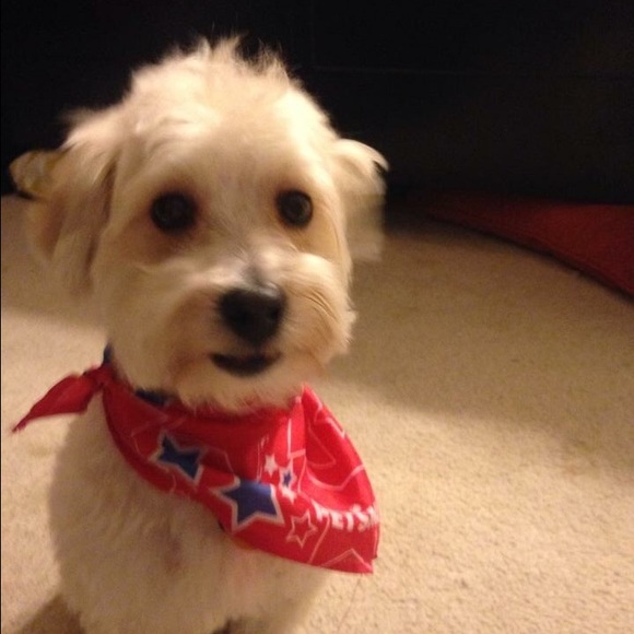 Meet your Posher, Elizabeth