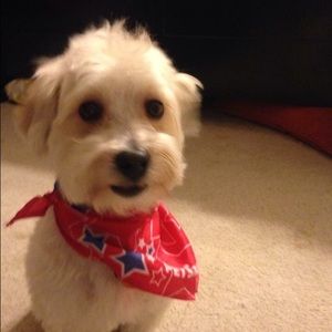 Meet your Posher, Elizabeth