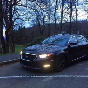 Meet your Posher, Phillip