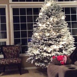 Meet your Posher, Joann