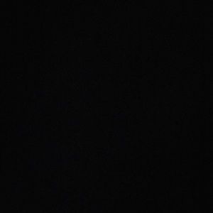 Meet your Posher, Alfonso