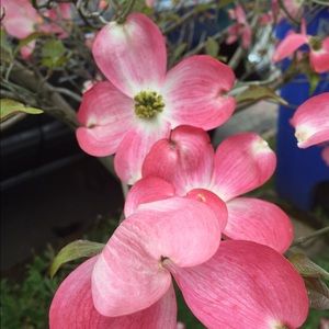 Meet your Posher, Marina