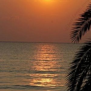 Meet your Posher, Kristine