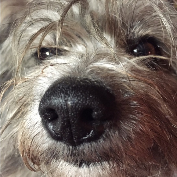 Meet your Posher, Marilyn