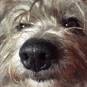 Meet your Posher, Marilyn